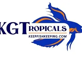 KGTropicals Promo Code