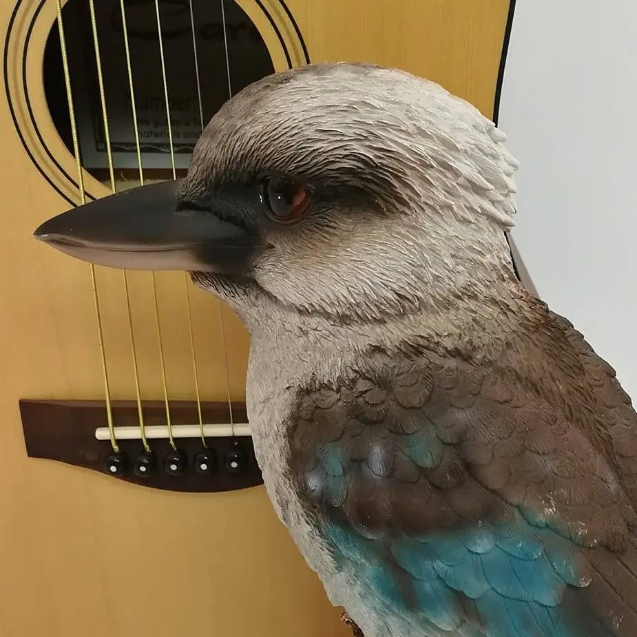 Kookaburra Music Tree Promo Code