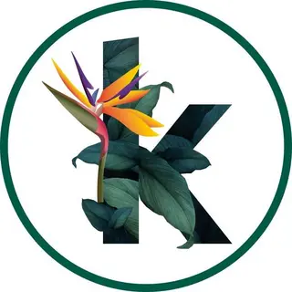 Kosmeti.co DE Promo Code