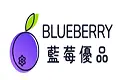 Blueberry Creative Studio US Promo Code