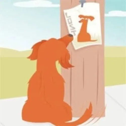 LostMyDoggie.com Promo Code