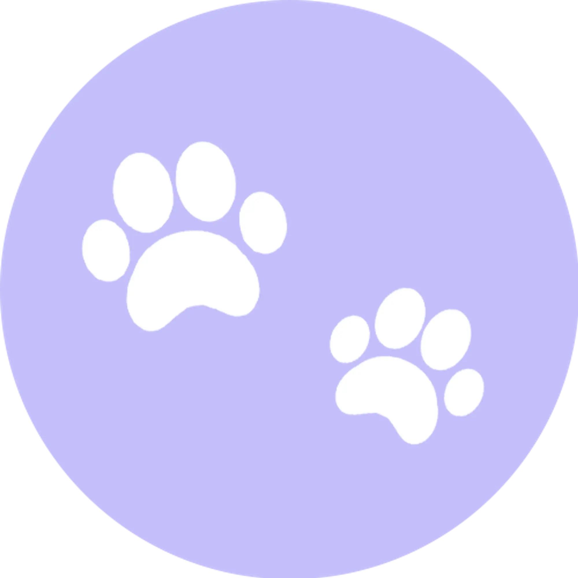 LovelyPawly Promo Code