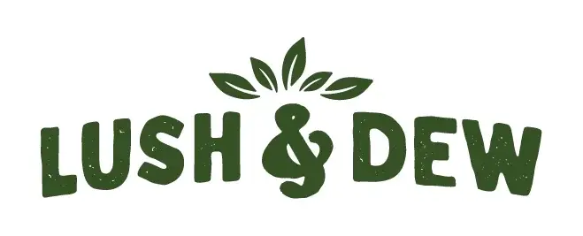 LUSH & DEW Promo Code