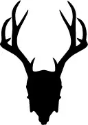 Mad Rabbit Tattoo Promo Code