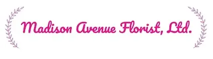 Madison Avenue Promo Code