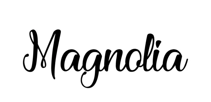 Magnolia Too Boutique Promo Code