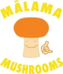 Malama Mushrooms Promo Code
