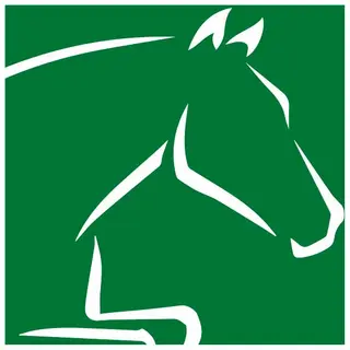 MASTERHORSE DE Promo Code