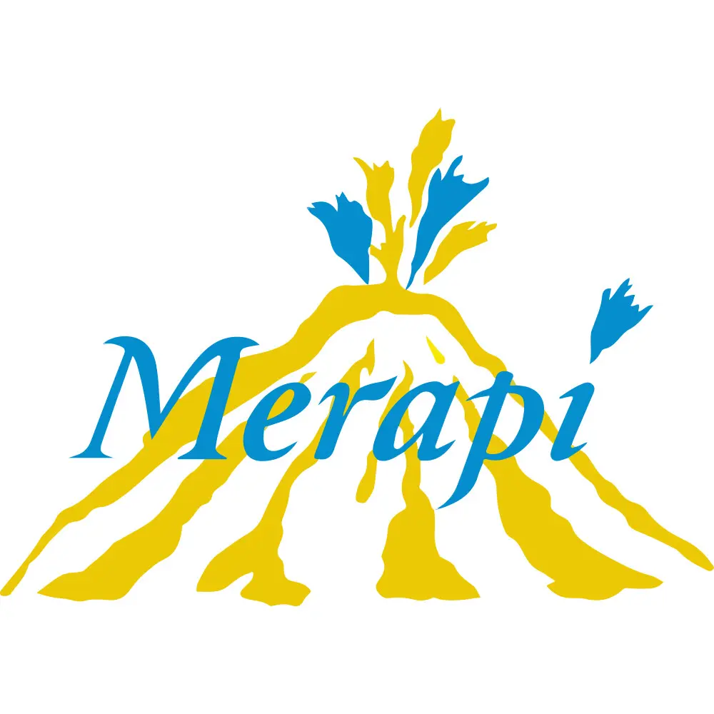 merapi.nl Promo Code