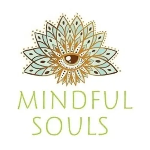 mindful souls bv Promo Code