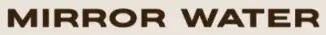 MIRROR WATER Promo Code