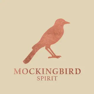 Mockingbird Spirit Promo Code