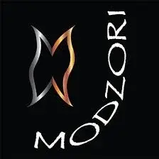 Modzori Promo Code