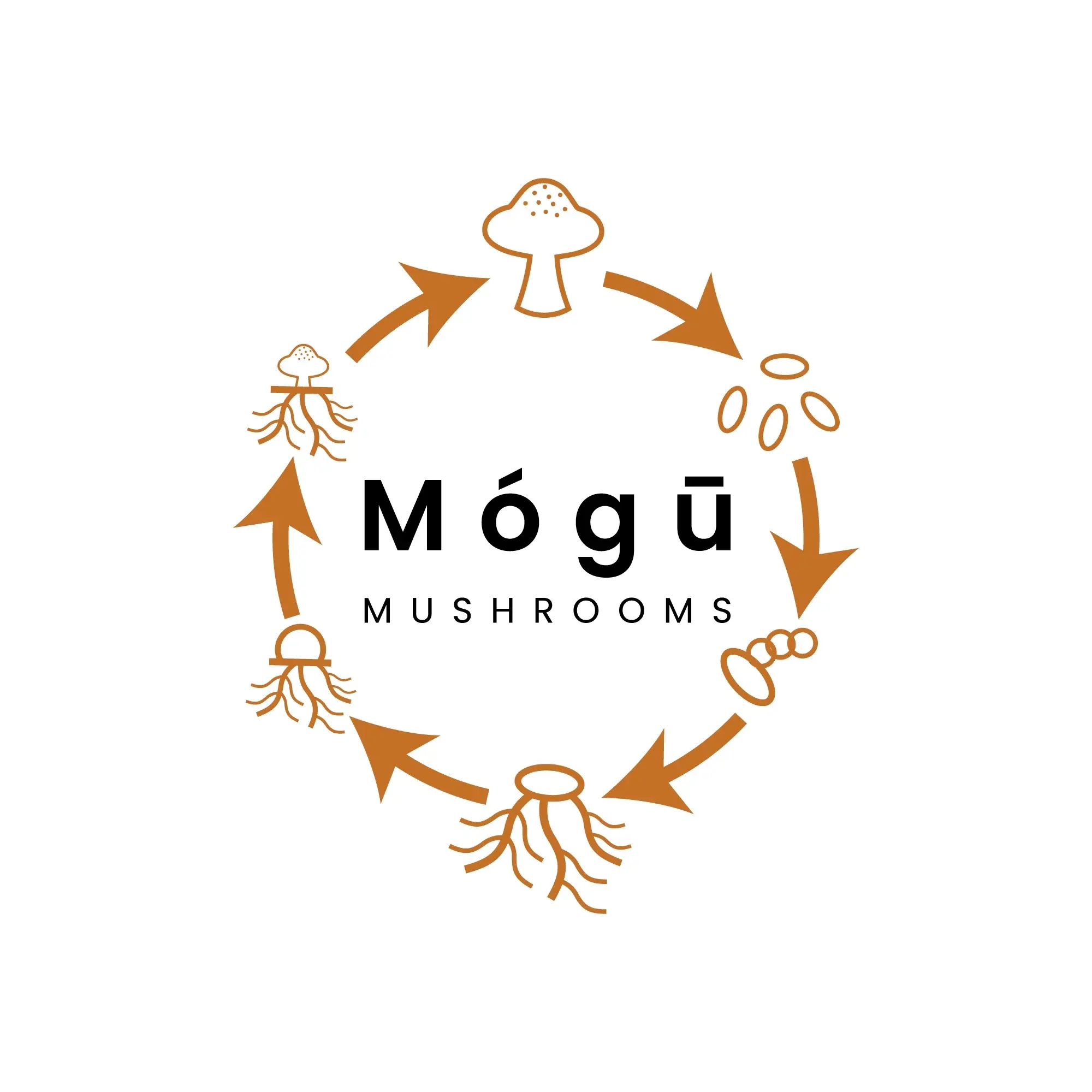 Mogu Mushrooms Promo Code