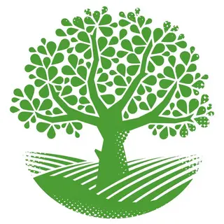 Mokhado.com Promo Code