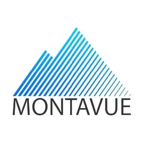 Montavue Promo Code