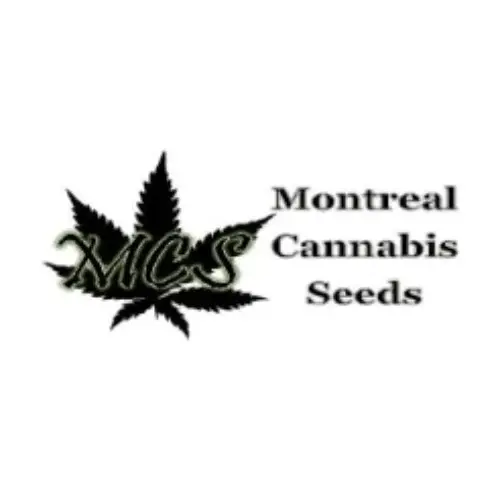 Montreal Cannabis Seeds Promo Code