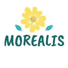 Morealis Promo Code
