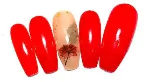 NailcolmX Promo Code