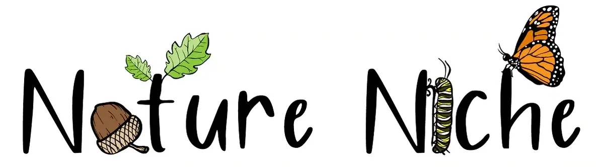 Nature Niche Promo Code
