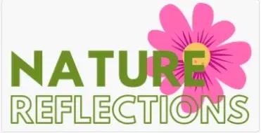 Nature Reflections Promo Code