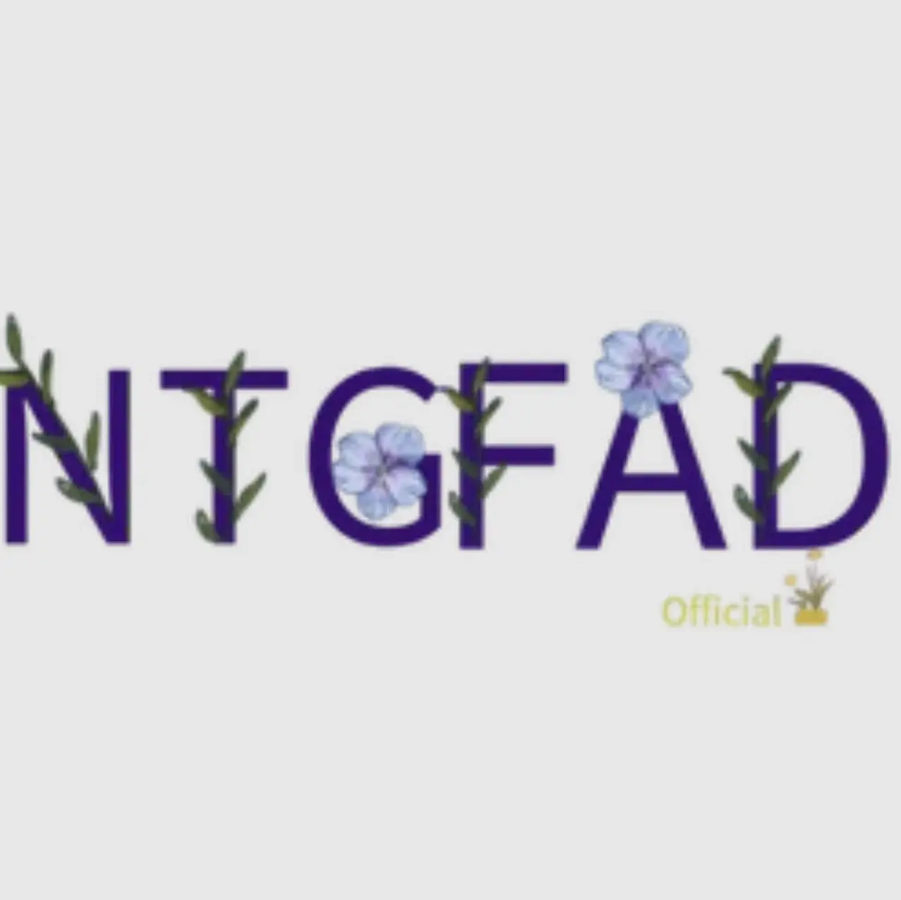 NTG Fad Promo Code