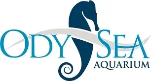 OdySea Aquarium Promo Code