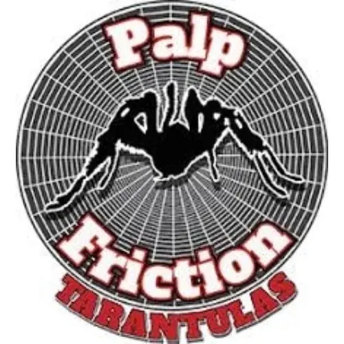 Palp Friction Promo Code