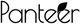 Panteer DE Promo Code