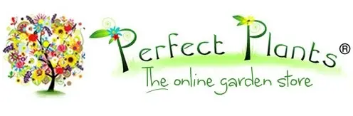 Perfect Plants UK Promo Code