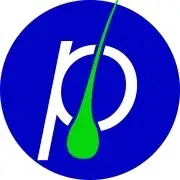 Phyllotex Promo Code