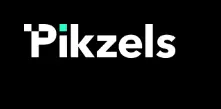 Pikzels Promo Code