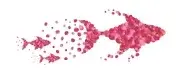 Pinkfishes Promo Code