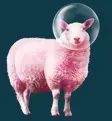 Pink sheep wellness US Promo Code