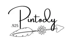 Pintody Promo Code