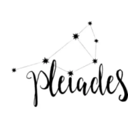 Pleiades Designs Promo Code