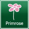 Primrose Promo Code