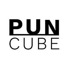 PUNCUBE INC Promo Code