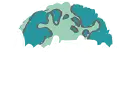 ReadyToGo Promo Code