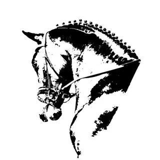 Reitsport Manski DE Promo Code