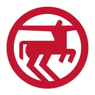 Rossmann Promo Code