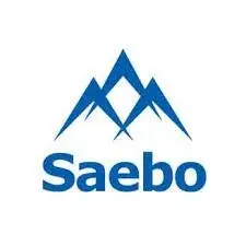 Saebo Promo Code