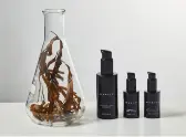 Seabody IE Promo Code