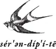 Serendipity12th Promo Code