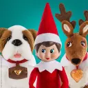 Elf on the Shelf IE Promo Code