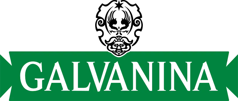 Galvanina IT Promo Code