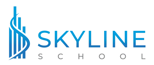 Skyline School, LLC Promo Code
