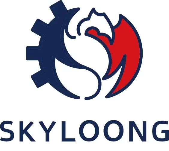 SKYLOONG  Promo Code