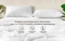 Smart Bamboo MX Promo Code