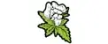 Snapdragon Hemp Promo Code